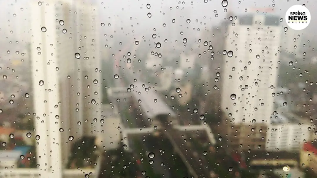 อุตุฯ เผยหลายภาคเจอฝนตกหนัก โดยเฉพาะภาคใต้บริเวณทะเลมีฝนฟ้าคะนองและคลื่นสูงมากกว่า 2 เมตร อุตุฯ เผยหลายภาคเจอฝนตกหนัก โดยเฉพาะภาคใต้บริเวณทะเลมีฝนฟ้าคะนองและคลื่นสูงมากกว่า 2 เมตร