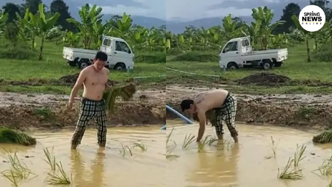 ชาคริต แย้มนาม ทิ้งมาดพระเอกเผยภาพลงมือดำนา ใช้ชีวิตอยู่แบบบ้านๆ สุดแฮปปี้ ชาคริต แย้มนาม ทิ้งมาดพระเอกเผยภาพลงมือดำนา ใช้ชีวิตอยู่แบบบ้านๆ สุดแฮปปี้