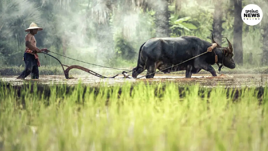 "เงินเยียวยาเกษตรกร" ธ.ก.ส. เตรียมโอนให้พรุ่งนี้เพิ่มสำหรับกลุ่มแจ้งบัญชีใหม่ "เงินเยียวยาเกษตรกร" ธ.ก.ส. เตรียมโอนให้พรุ่งนี้เพิ่มสำหรับกลุ่มแจ้งบัญชีใหม่