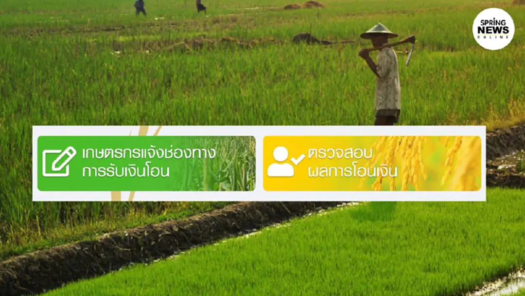 เช็กเงินเยียวยาเกษตรกร ตรวจสอบสถานะ โอนรอบ 3 พบ 1.29 แสน รายไม่แจ้งบัญชี เช็กเงินเยียวยาเกษตรกร ตรวจสอบสถานะ โอนรอบ 3 พบ 1.29 แสน รายไม่แจ้งบัญชี