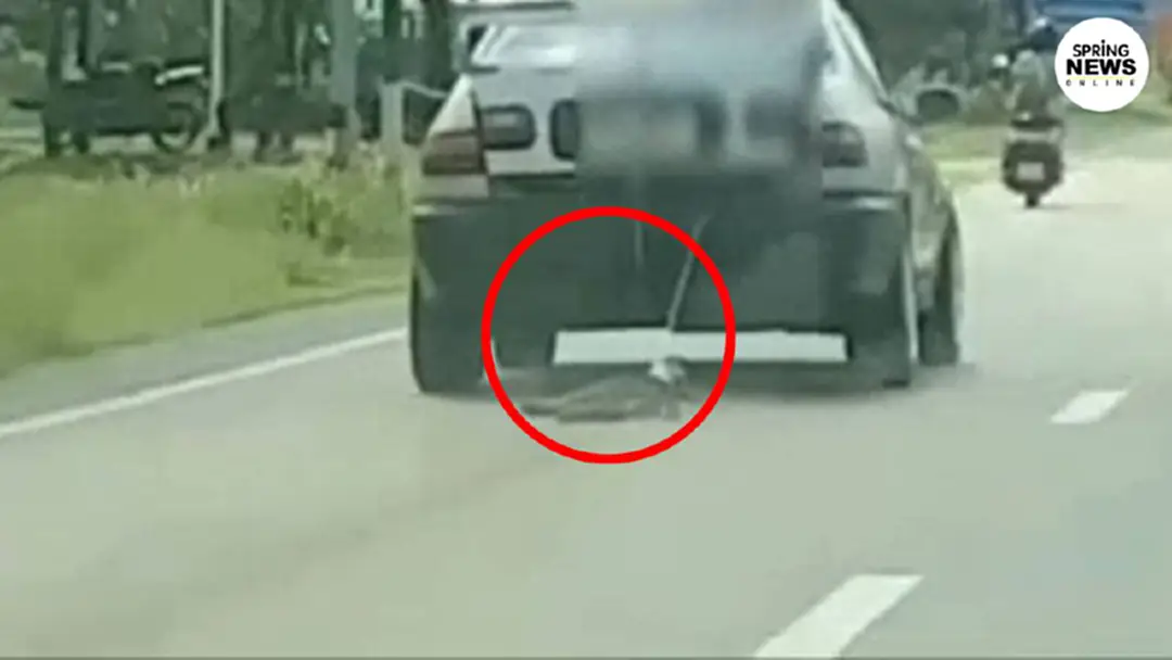 'วอชด็อก' เผยคลิปสะเทือนใจ เก๋งขับรถลากสุนัขบนถนน ใน จ.ศรีสะเกษ