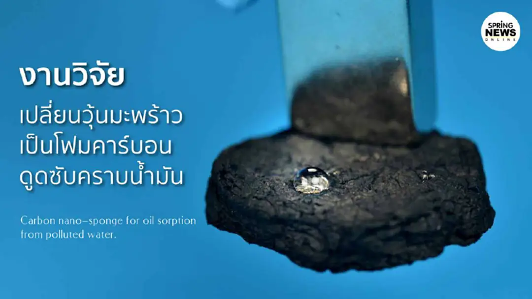 งานวิจัย เปลี่ยนวุ้นมะพร้าวเป็นโฟมคาร์บอนดูดซับคราบน้ำมัน งานวิจัย เปลี่ยนวุ้นมะพร้าวเป็นโฟมคาร์บอนดูดซับคราบน้ำมัน