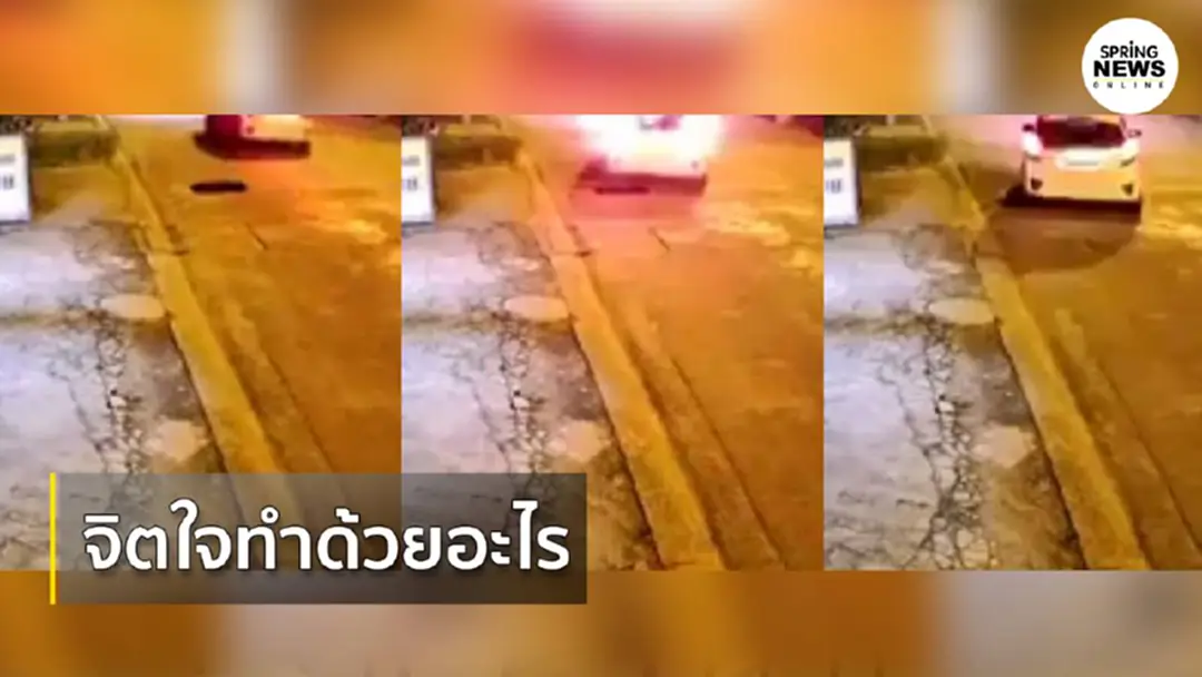 ล่าเก๋งใจทราม! ขับผ่านสุนัข ก่อนถอยมาทับร้องลั่นซอย(มีคลิป) ล่าเก๋งใจทราม! ขับผ่านสุนัข ก่อนถอยมาทับร้องลั่นซอย(มีคลิป)