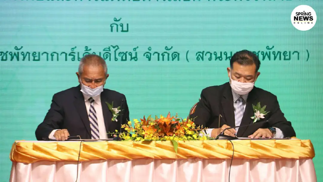กรมการแพทย์ - สวนนงนุช ลงนามวิจัยพัฒนาสายพันธุ์กัญชาเพื่อทางการแพทย์ กรมการแพทย์ - สวนนงนุช ลงนามวิจัยพัฒนาสายพันธุ์กัญชาเพื่อทางการแพทย์