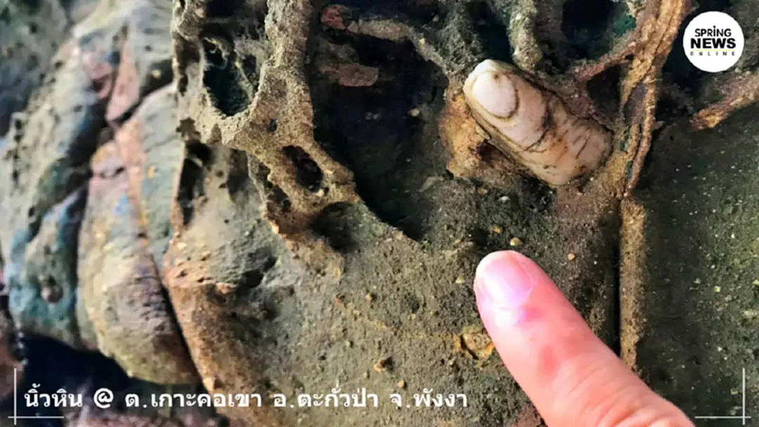 ตะลึง! "หินนิ้วมือ" โผล่ปริศนา เกาะคอเขา จ.พังงา ทำผู้คนผวา