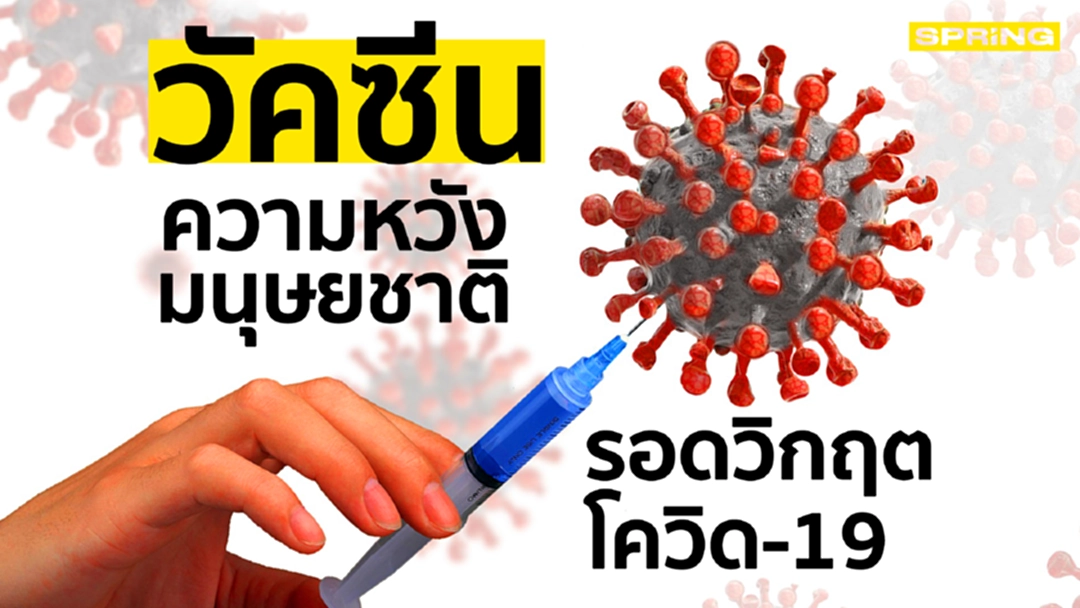เทียบประสิทธิภาพ ราคา ผลข้างเคียง วัคซีนต้านโควิด-19 ของแต่ละบริษัท