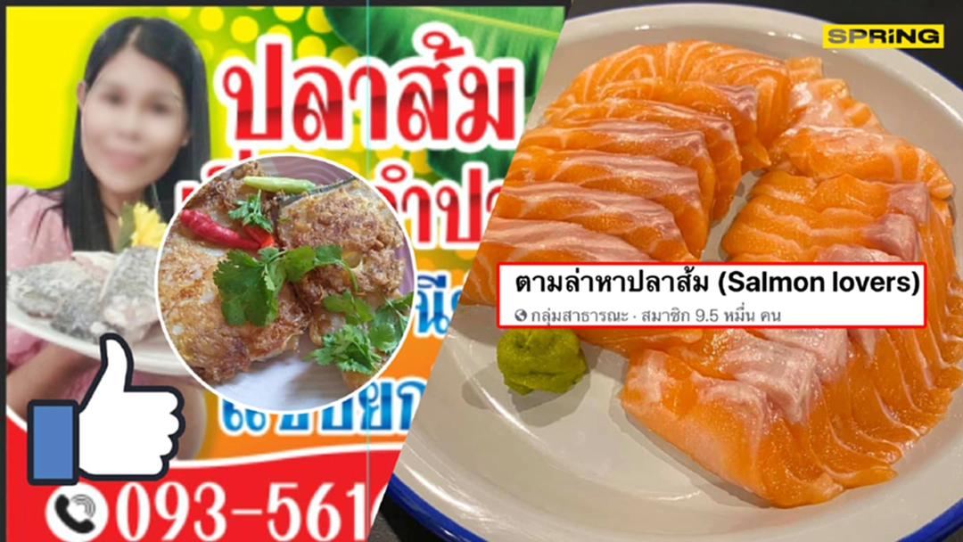 ผิดคาด! สาวเข้าใจผิดโพสต์ขาย "ปลาส้ม" ในกลุ่ม "ปลาแซลมอน"