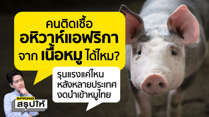 ฟังชัด กินหมูที่มีโรคอหิวาต์แอฟริกาในสุกร หรือ ASF เข้าไป อันตรายไหม?