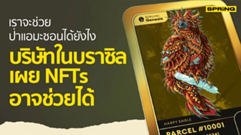 NFTs เพื่อป่าแอมะซอน บริษัทในบราซิลผุดไอเดียขาย NFTs ระดมทุนฟื้นฟูแอมะซอน NFTs เพื่อป่าแอมะซอน บริษัทในบราซิลผุดไอเดียขาย NFTs ระดมทุนฟื้นฟูแอมะซอน