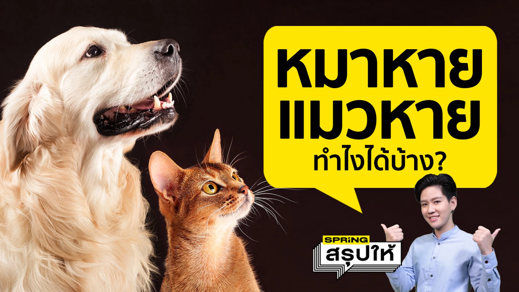 สรุปให้...หมาหาย แมวหาย สัตว์เลี้ยงหาย ทำยังไงได้บ้าง?