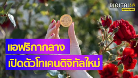 แอฟริกากลางวางแผน เปลี่ยนทรัพยากรธรรมชาติให้เป็น Token ดึงดูดนักลงทุน