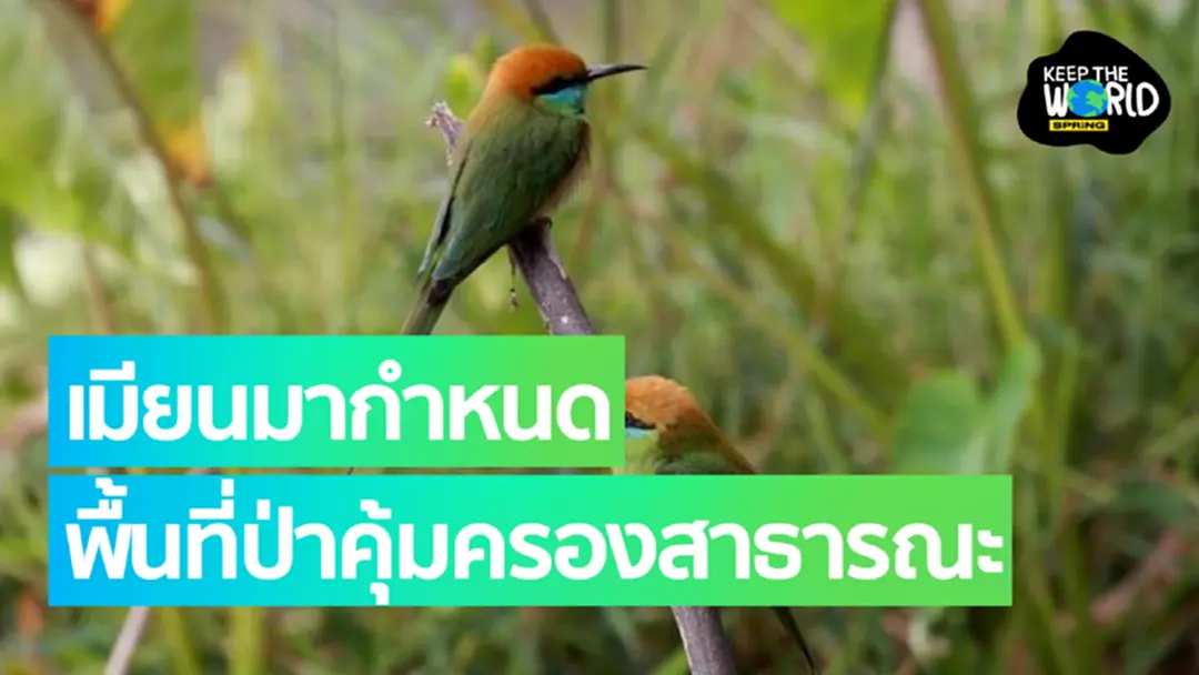 เมียนมากำหนด ‘พื้นที่ป่าคุ้มครองสาธารณะ’ แห่งใหม่ เมียนมากำหนด ‘พื้นที่ป่าคุ้มครองสาธารณะ’ แห่งใหม่
