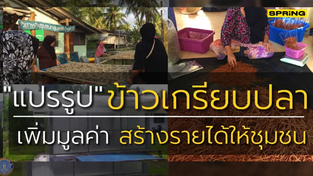 กรมประมงผลักดันข้าวเกรียบสด "กรือโป๊ะ" ของดีภาคใต้ สร้างรายได้ให้ชุมชน