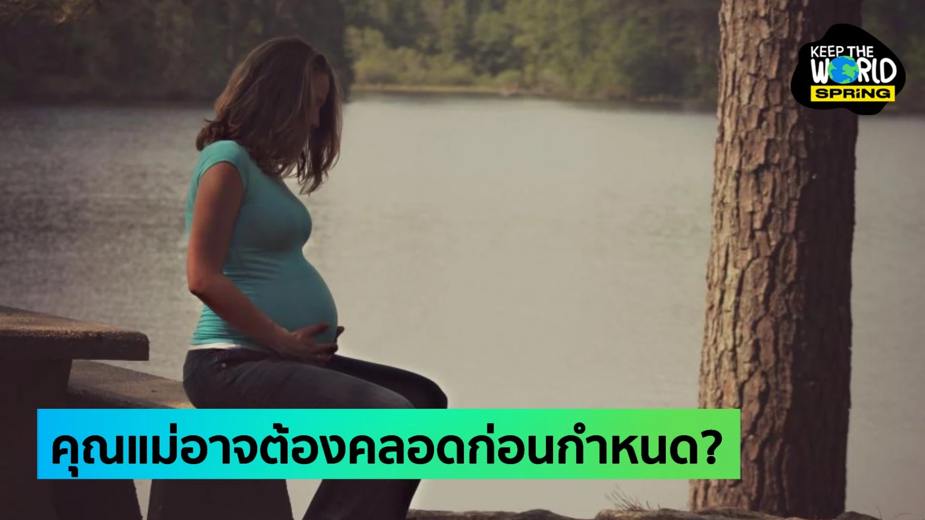 The Dangers of Phthalates Understanding the Harmful Effects and