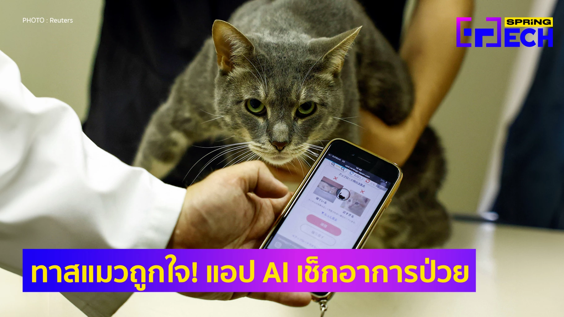 'แอป CatsMe!' ใช้ AI ตรวจอาการป่วยของแมว วินิจฉัยได้เองก่อนพาไปหาหมอ