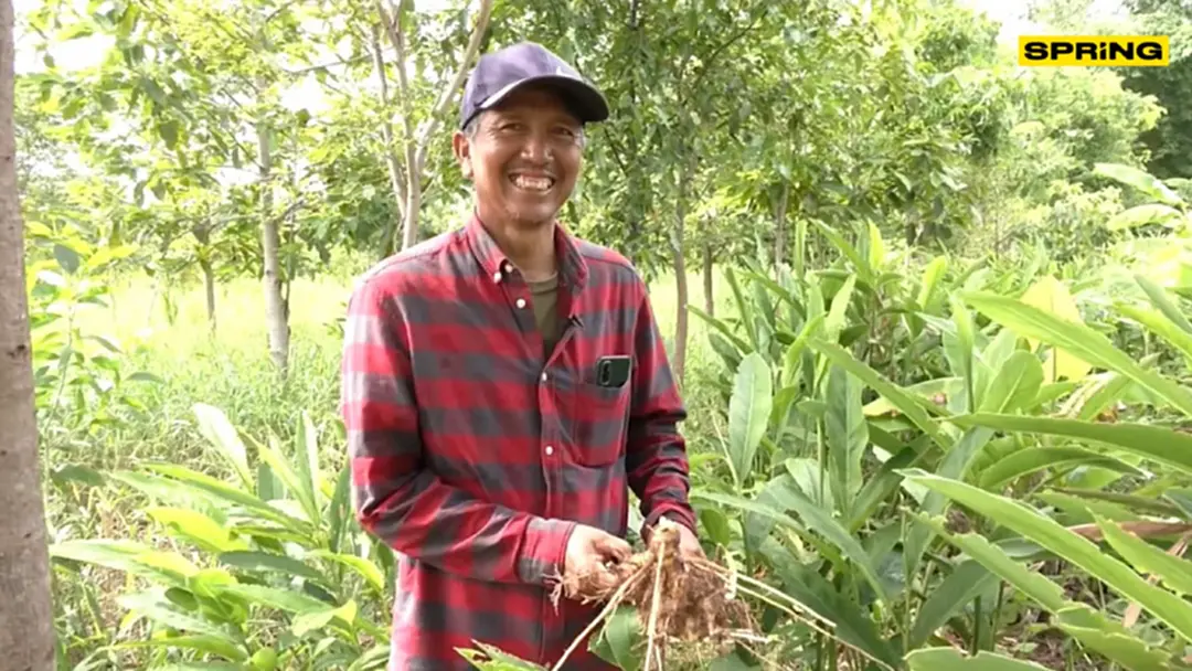 ถอดบทเรียนเกษตรกรต้นแบบ Zoning by Agri-Map สร้างรายได้และคุณภาพชีวิตดีขึ้น ถอดบทเรียนเกษตรกรต้นแบบ Zoning by Agri-Map สร้างรายได้และคุณภาพชีวิตดีขึ้น