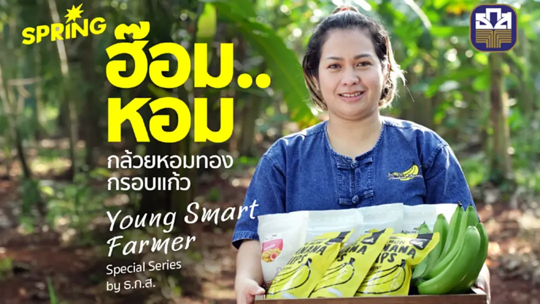“กล้วยกรอบแก้ว ฮ๊อม หอม” กล้วยหอมไทยแปรรูปสู่เกษตรมูลค่าสูง “กล้วยกรอบแก้ว ฮ๊อม หอม” กล้วยหอมไทยแปรรูปสู่เกษตรมูลค่าสูง
