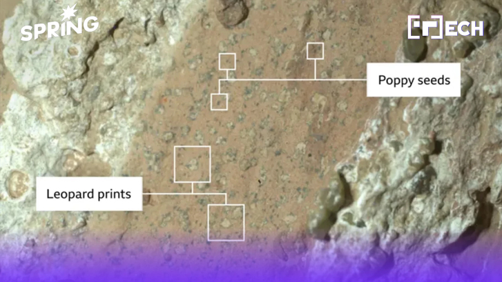 NASA พบ "ฟอสซิล"  ร่องรอยสิ่งมีชีวิตบนดาวอังคาร  หลักฐาน "ชัดเจนสุดเท่าที่เคยมีมา"
