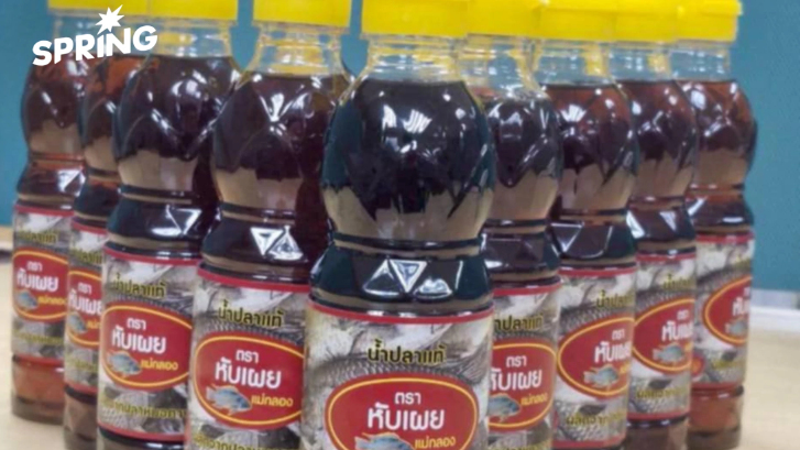 หลายหน่วยงานลุยจับ ‘ปลาหมอคางดำ’ ทำ น้ำปลาหับเผย ขาย พ.ย. นี้