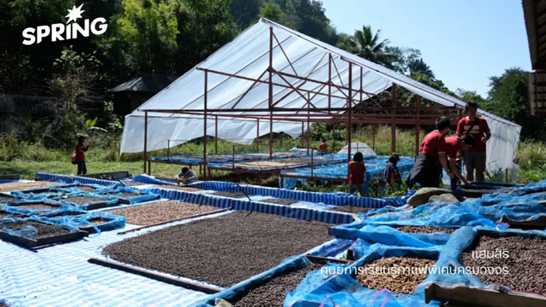 'แสนสิริ' เปิดตัวโปรเจ็กต์ธุรกิจเพื่อสังคม'ศูนย์การเรียนรู้กาแฟพิเศษครบวงจร' 'แสนสิริ' เปิดตัวโปรเจ็กต์ธุรกิจเพื่อสังคม'ศูนย์การเรียนรู้กาแฟพิเศษครบวงจร'