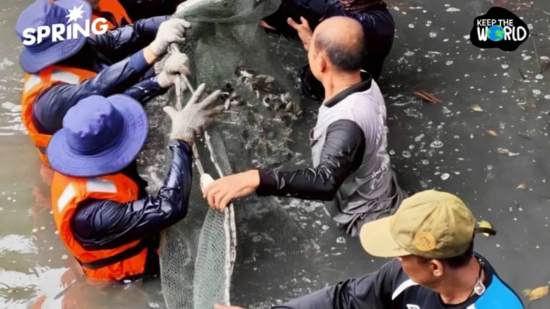 กรมประมงชี้ ปลาหมอคางดำลดลงแล้ว สะท้อนผลสำเร็จมาตรการบูรณาการทั่วประเทศ กรมประมงชี้ ปลาหมอคางดำลดลงแล้ว สะท้อนผลสำเร็จมาตรการบูรณาการทั่วประเทศ