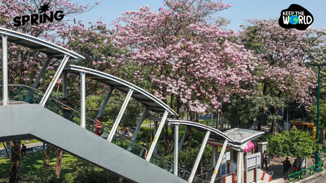 ลุ้น! ‘ซาอุดีอาระเบีย’ ซื้อต้นไม้ไทย 38 ชนิด สร้างป่า-เมืองสีเขียว