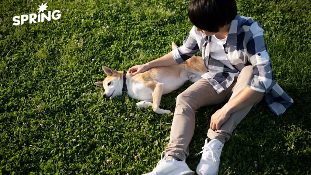 “Dogfishing” เมื่อหมากลายเป็นเครื่องมือจีบกันในโลกออนไลน์ “Dogfishing” เมื่อหมากลายเป็นเครื่องมือจีบกันในโลกออนไลน์