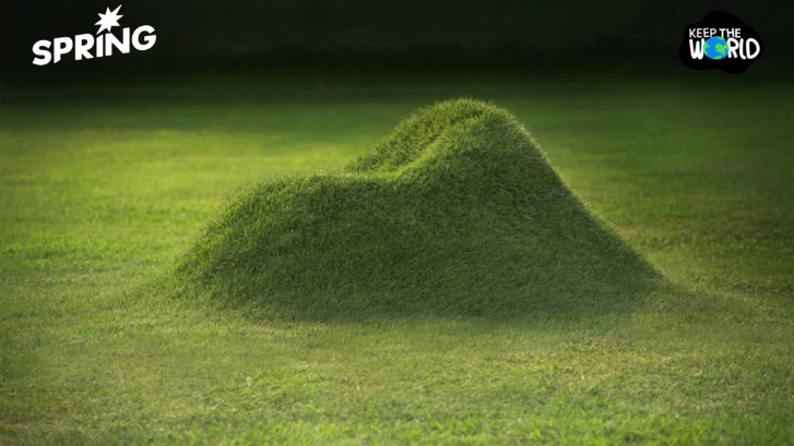 Terra Chair เก้าอี้ที่เราปลูกได้เองในสวนหลังบ้าน ไม่เป็นภาระโลก