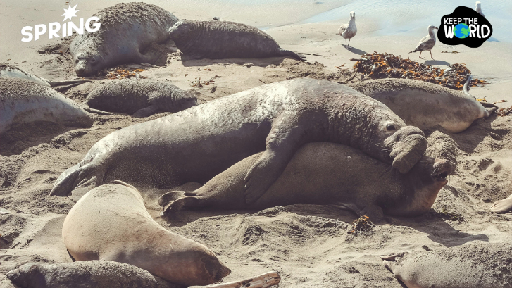 นักวิทย์เผยกลยุทธ์ "การนอนสุดขั้ว" ของสัตว์โลก เพื่อเอาตัวรอด