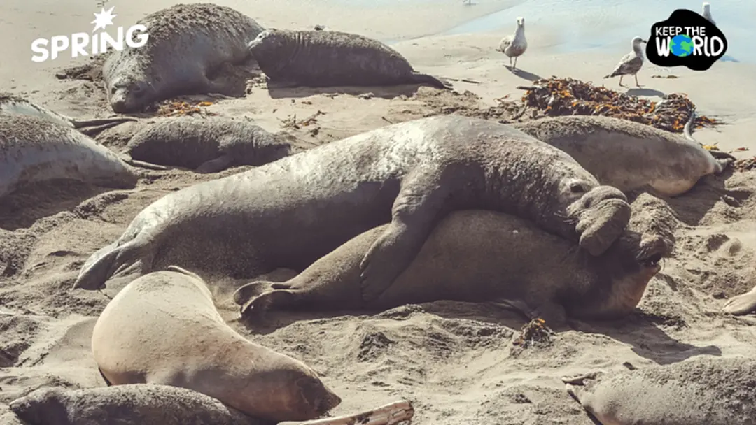 นักวิทย์เผยกลยุทธ์ "การนอนสุดขั้ว" ของสัตว์โลก เพื่อเอาตัวรอด นักวิทย์เผยกลยุทธ์ "การนอนสุดขั้ว" ของสัตว์โลก เพื่อเอาตัวรอด