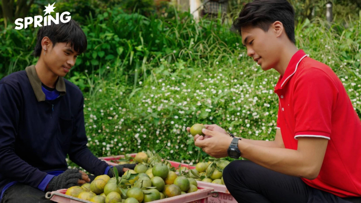 เร่งพัฒนาโลจิสติกส์บูม ‘สินค้าเกษตรไทย’ ตรงจากสวนถึงผู้บริโภค หนุนเศรษฐกิจ