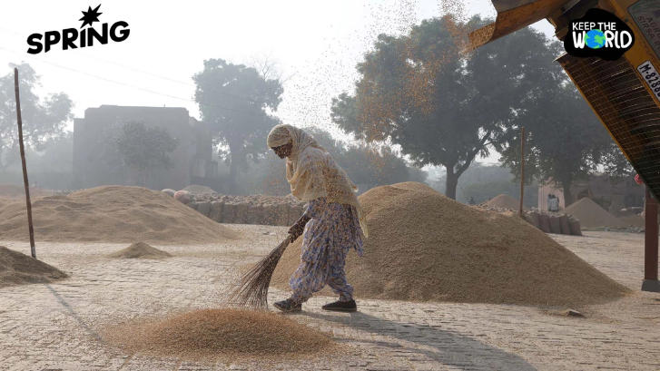 งานวิจัยชี้ CO2 พุ่ง ทำอาหารแคลอรีสูงขึ้น แต่คุณค่าทางโภชนาการลด