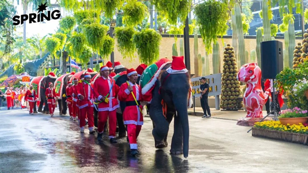 สวนนงนุชพัทยาจัดใหญ่! โชว์คริสต์มาสแฟนตาซีสุดอลังการ