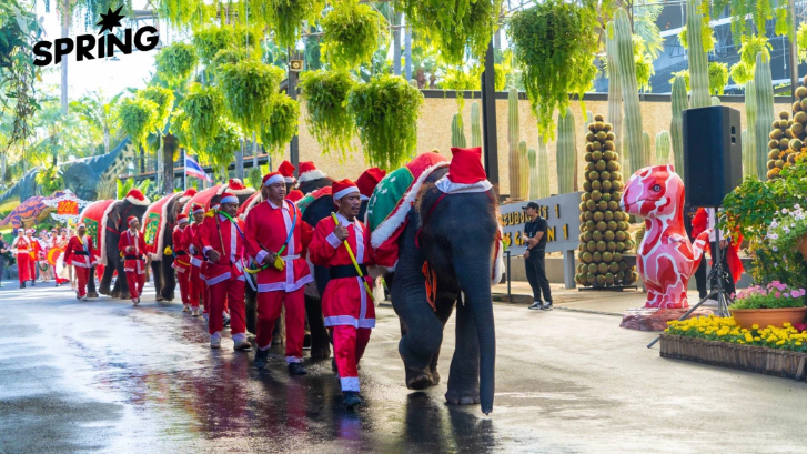สวนนงนุชพัทยาจัดใหญ่! โชว์คริสต์มาสแฟนตาซีสุดอลังการ