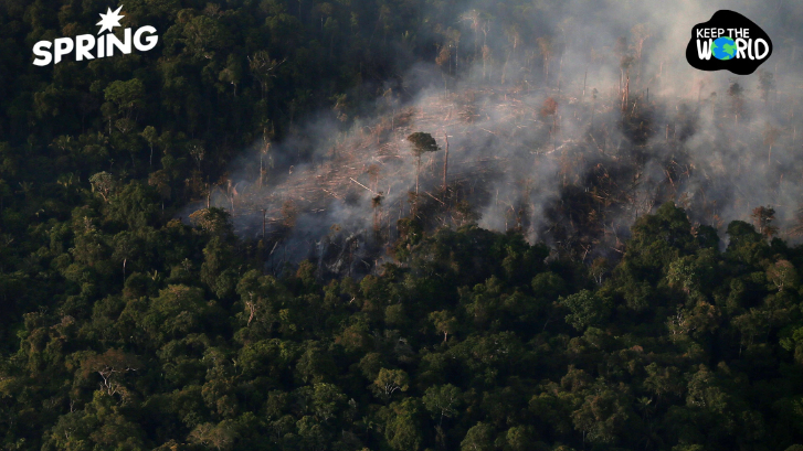 ป่าแอมะซอนกำลังกลายเป็น 'เขตร้อนชื้นจัด' ครั้งแรกในรอบ 10 ล้านปี