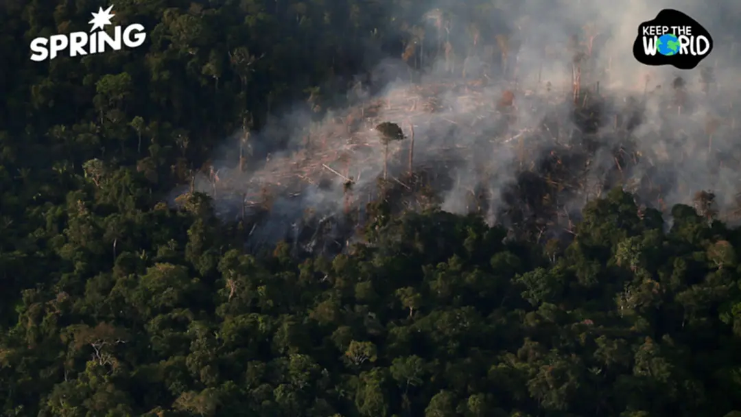 ป่าแอมะซอนกำลังกลายเป็น 'เขตร้อนชื้นจัด' ครั้งแรกในรอบ 10 ล้านปี ป่าแอมะซอนกำลังกลายเป็น 'เขตร้อนชื้นจัด' ครั้งแรกในรอบ 10 ล้านปี