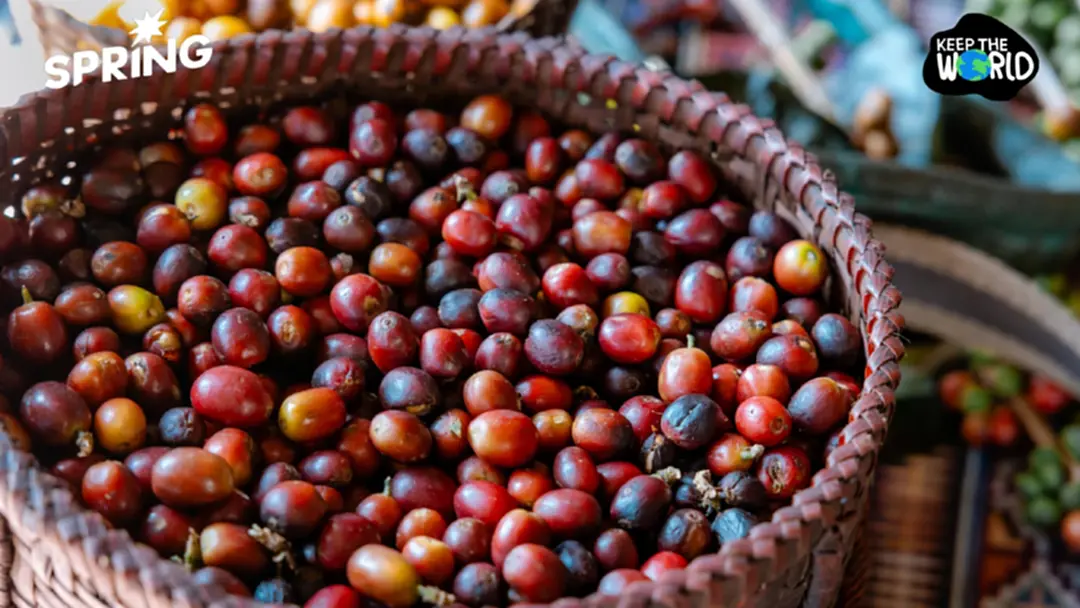 จับตา! 'เอลนีโญ' ถล่มไทยครึ่งปีหลัง’69 ทำต้นทุนสินค้าเกษตรพุ่ง