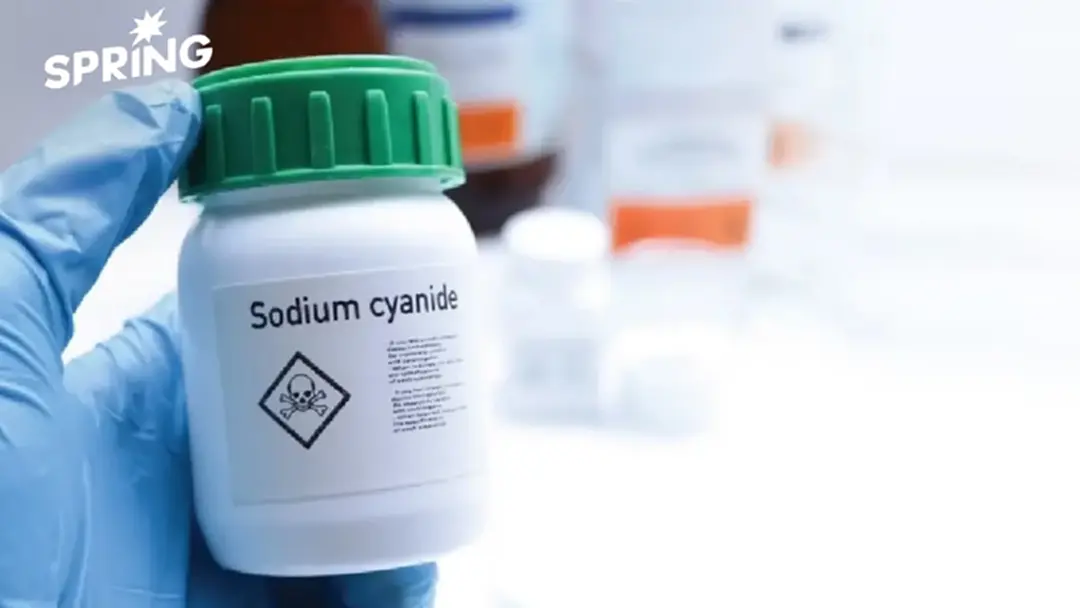 'ไซยาไนด์' คืออะไร? อาการ ความรุนแรง ใช้ฆ่าเหยื่อได้ในไม่กี่วินาที