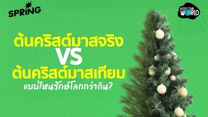 ต้นคริสต์มาสจริง vs ปลอม: ทางเลือกไหนรักษ์โลกกว่ากัน?