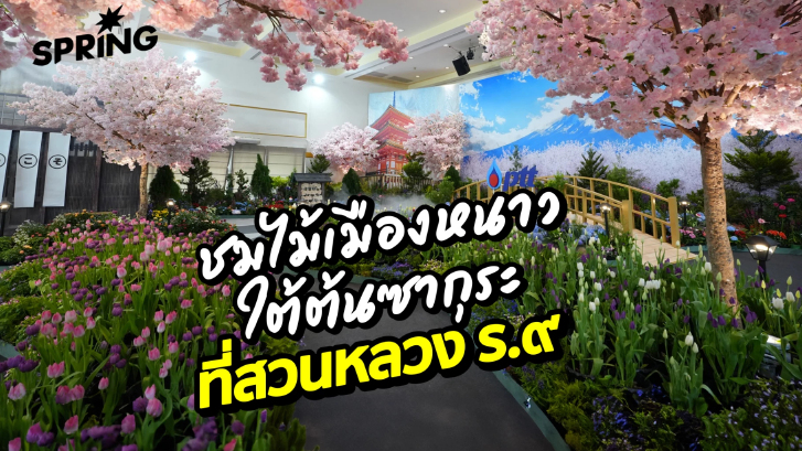 ชวนรับลม ชมงานมหัศจรรย์ไม้เมืองหนาว ทิวลิปบานที่สวนหลวง ร.๙