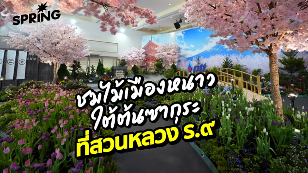 ชวนรับลม ชมงานมหัศจรรย์ไม้เมืองหนาว ทิวลิปบานที่สวนหลวง ร.๙ ชวนรับลม ชมงานมหัศจรรย์ไม้เมืองหนาว ทิวลิปบานที่สวนหลวง ร.๙