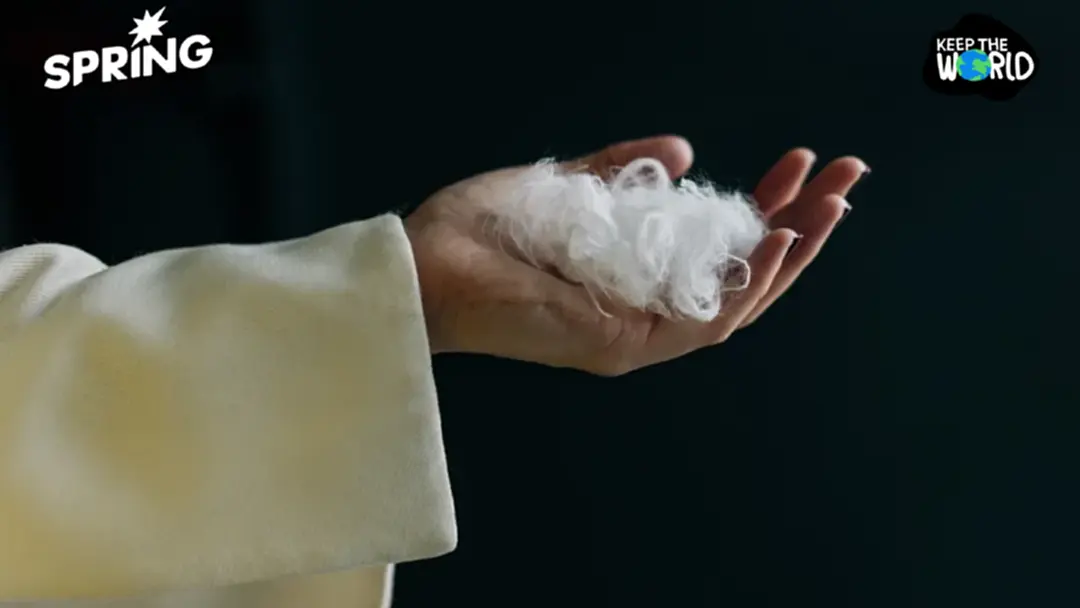 จากขยะสู่เส้นใยหรู! “Everbloom” ใช้ AI เปลี่ยนขนไก่ให้เป็น “แคชเมียร์” จากขยะสู่เส้นใยหรู! “Everbloom” ใช้ AI เปลี่ยนขนไก่ให้เป็น “แคชเมียร์”