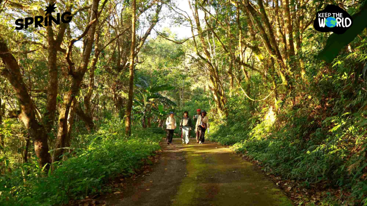 ส่งมอบ ‘เส้นทางศึกษาธรรมชาติยอดดอยปุย’ เส้นทางป่าหลังบ้านเมืองเชียงใหม่