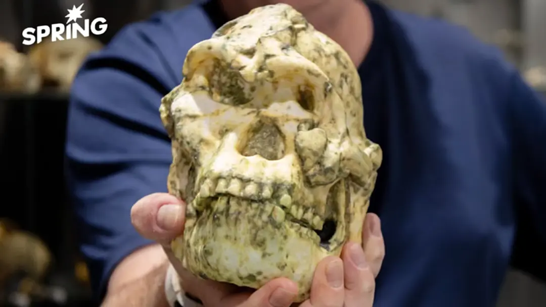 ฟอสซิลโฮมินิน "ลิตเติลฟุต" อาจเป็นสายพันธุ์ใหม่ของบรรพบุรุษมนุษย์ ฟอสซิลโฮมินิน "ลิตเติลฟุต" อาจเป็นสายพันธุ์ใหม่ของบรรพบุรุษมนุษย์