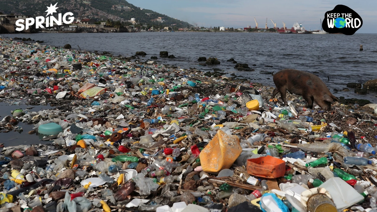 ประเทศไหนที่ปล่อย "ขยะพลาสติก" ลงสู่มหาสมุทรมากที่สุด?