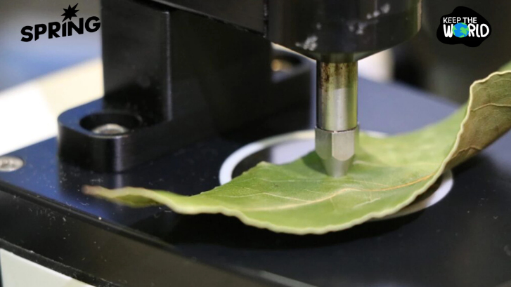 ระบบสแกนใบ รู้เวลาเก็บผลไม้ เทคนิคใหม่ไม่ต้องเด็ดมาตรวจให้เสียของ