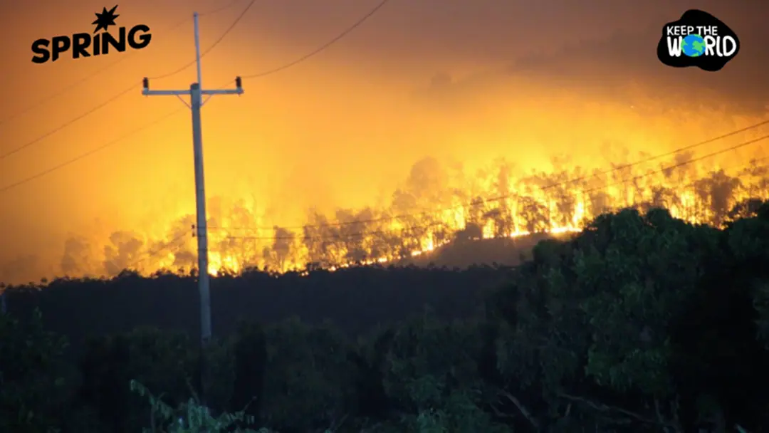 3 ชาติ ไทย-ลาว-เมียนมา ลุยแก้ไฟป่า-ฝุ่นพิษข้ามแดน หนุนเกษตรยั่งยืน 3 ชาติ ไทย-ลาว-เมียนมา ลุยแก้ไฟป่า-ฝุ่นพิษข้ามแดน หนุนเกษตรยั่งยืน