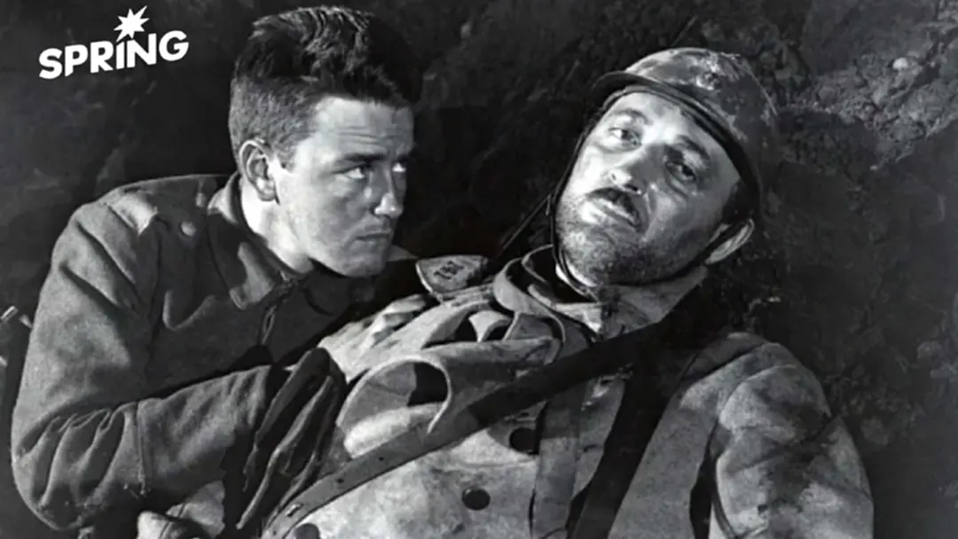 All Quiet on the Western Front  กลายเป็นสมบัติของทุกคนแล้ว !