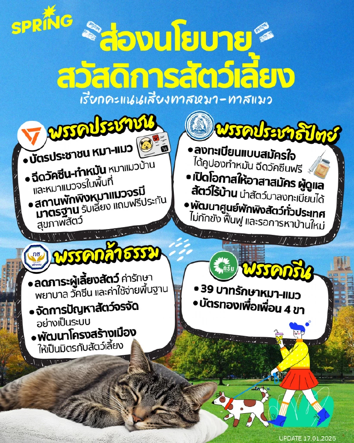 ส่องนโยบาย "สัตว์เลี้ยง" หวังเรียกคะแนนเสียงทาสหมา-ทาสแมว