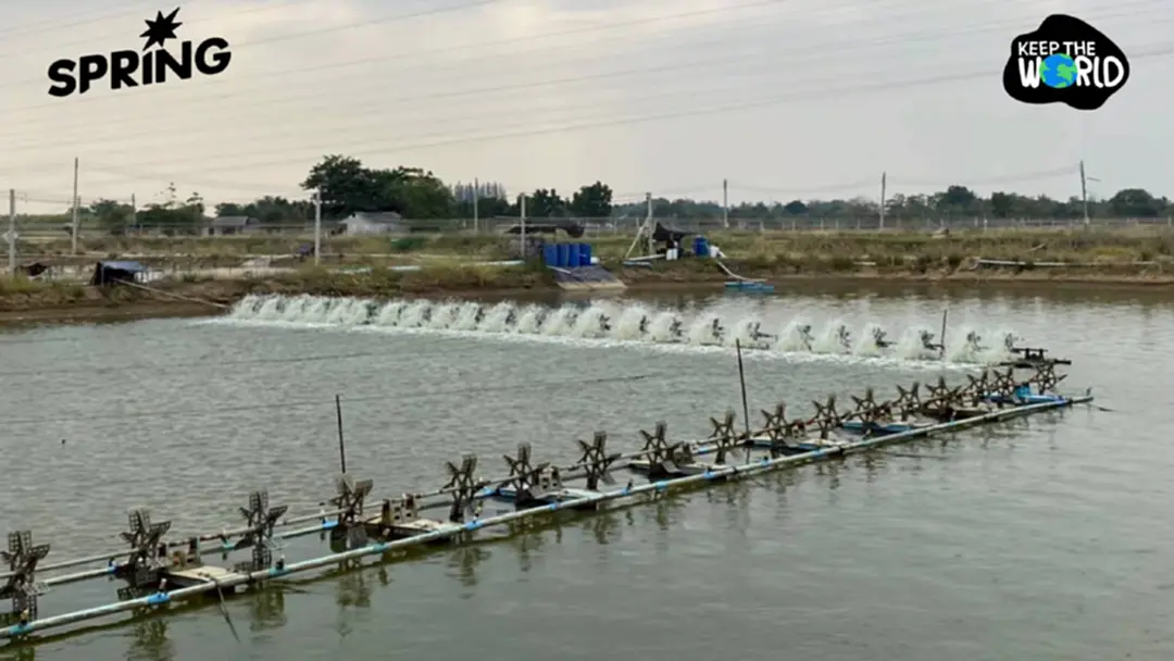 ไทยเร่งปรับ! ‘ควบคุมการระบายน้ำทิ้งบ่อเพาะเลี้ยงสัตว์น้ำ’ แก้ประกาศกระทรวงฯ